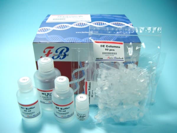 FB Gel Extraction and PCR Clean Up Kit